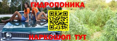 spice Будённовск