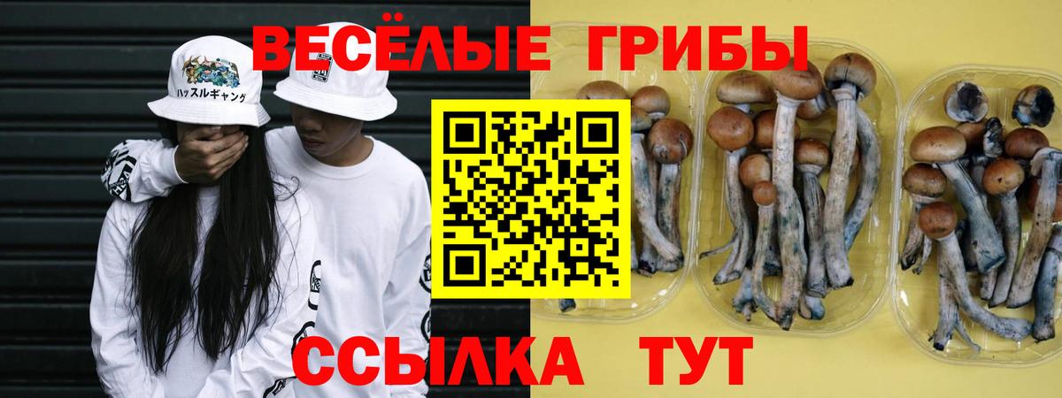 Галлюциногенные грибы Magic Shrooms Ливны