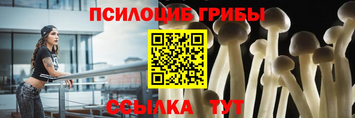 Ливны  Галлюциногенные грибы GOLDEN TEACHER  Вход с VPN 